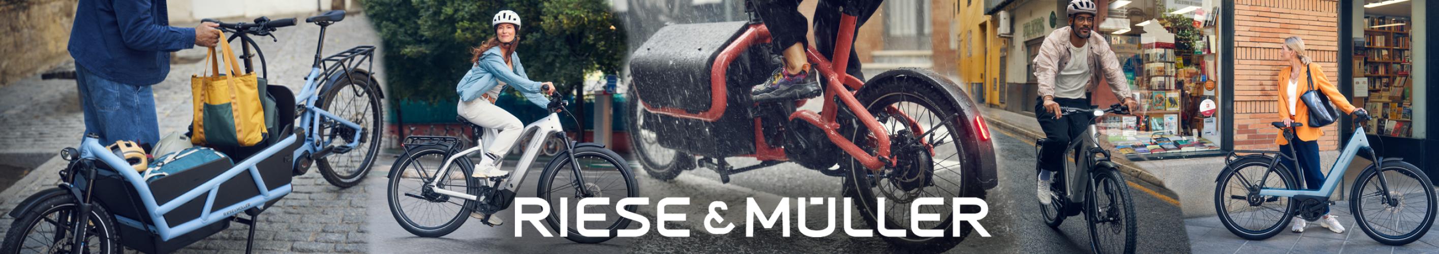 /image/data/riese/riese bannerµ.jpg